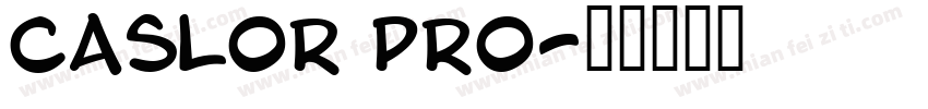 Caslor Pro字体转换